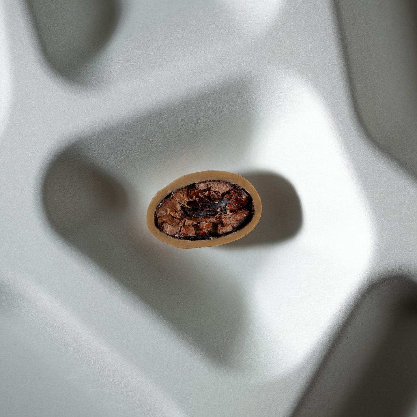Whole Cocoa Beans & Caramelised White Chocolate