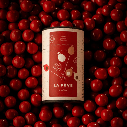 Chocolate Tube packaging labeled 'La Fève' surrounded by red rosehip fruits